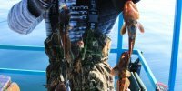 Морская рыбалка с теплохода "ИВОЛГА"