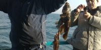 Морская рыбалка с теплохода "ИВОЛГА"
